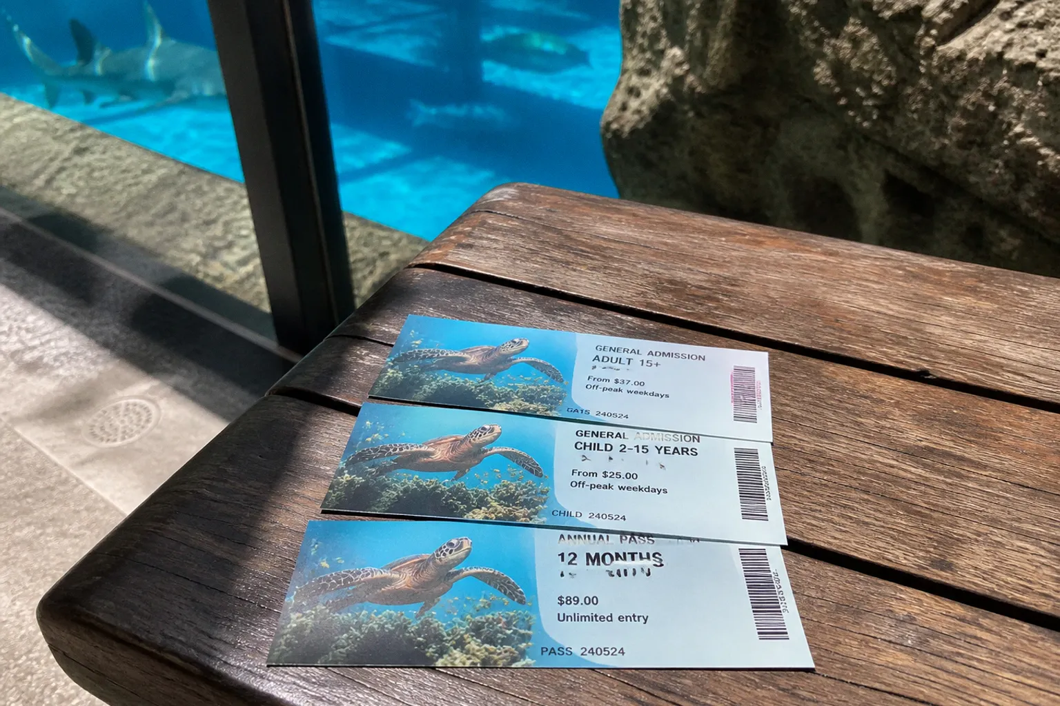 Tarifs du SEA LIFE Sunshine Coast : 3 billets au banc d'essai