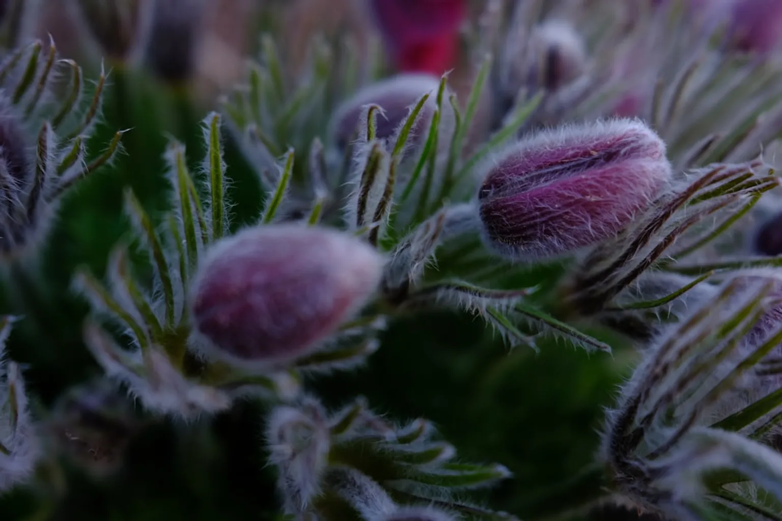 Jardins de Kew : notre verdict sur les options de réservation et les tarifs