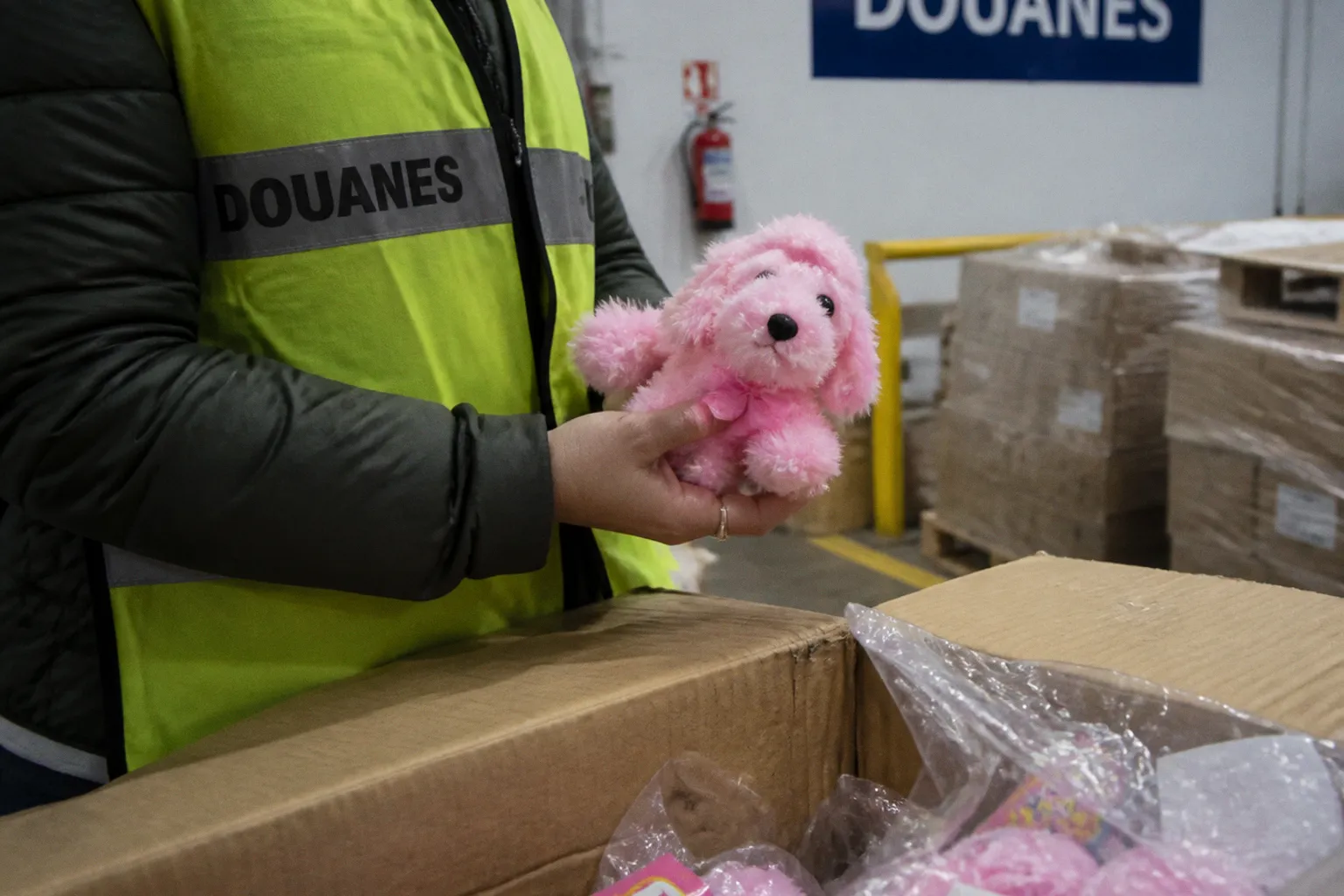 Jouets Squishy Dumplings : comment repérer les contrefaçons dangereuses pour vos enfants