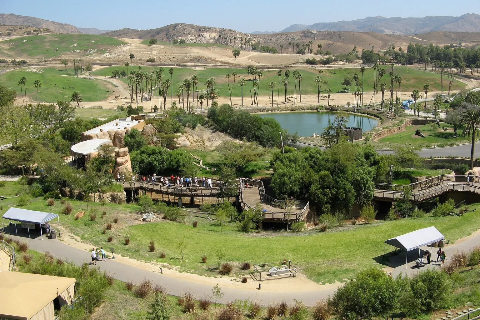 San Diego Zoo Safari Park : l'accès matinal vaut-il le coup ?