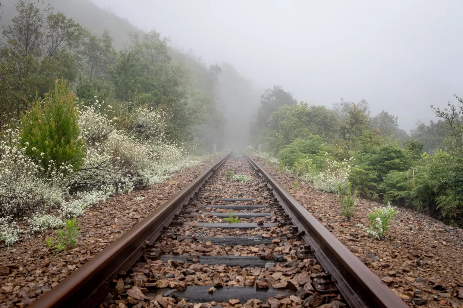 Billets Zig Zag Railway: notre test de la réservation et des tarifs